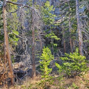 Meet your Posher, Nickole